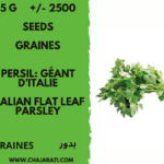Graines seeds Persil: Géant D’Italie