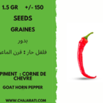 graine piment : corne de chèvre algerie