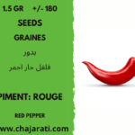 graines piment rouge Algerie
