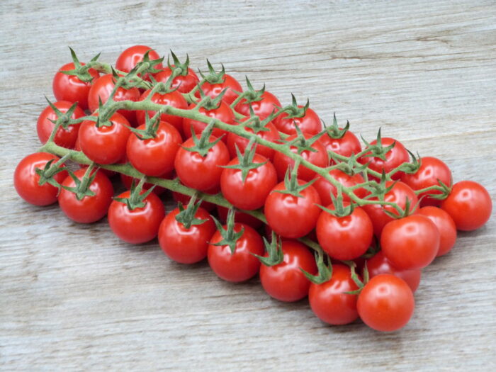 ⁦+/- 370   graines de  tomate cerise -  cherry tomato seeds⁩ - الصورة ⁦3⁩