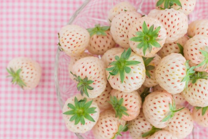⁦+/- 300 graines fraisier des bois ( Blanche) - White Soul, Strawberry⁩ - الصورة ⁦6⁩