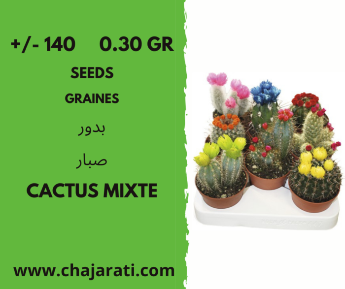 graines de cactus mixte َalgerie