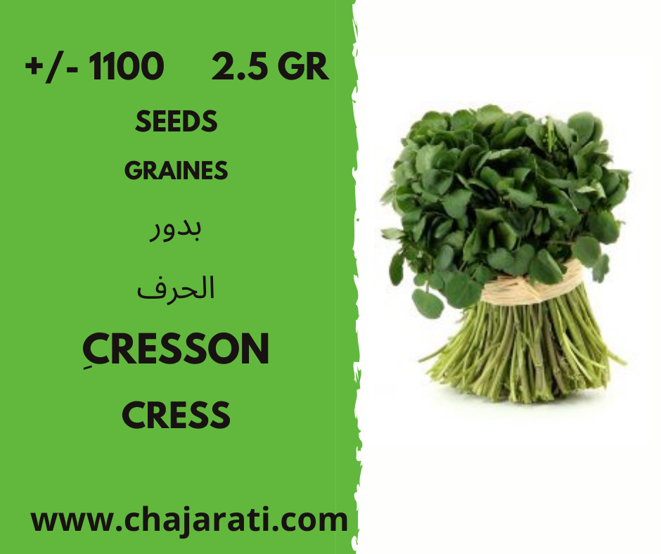 cresson cahajarati graines