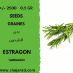 +/- 2500 0.5 Gr graines d'estragon Algerie