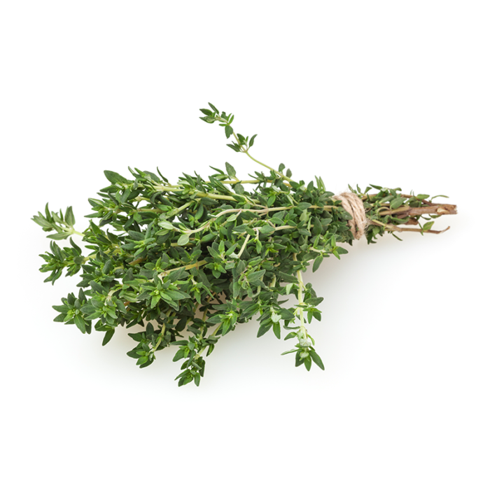 ⁦+/- 1500 Graines de Thym - thyme seeds⁩ - الصورة ⁦5⁩