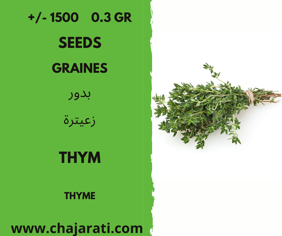 thym chajarati