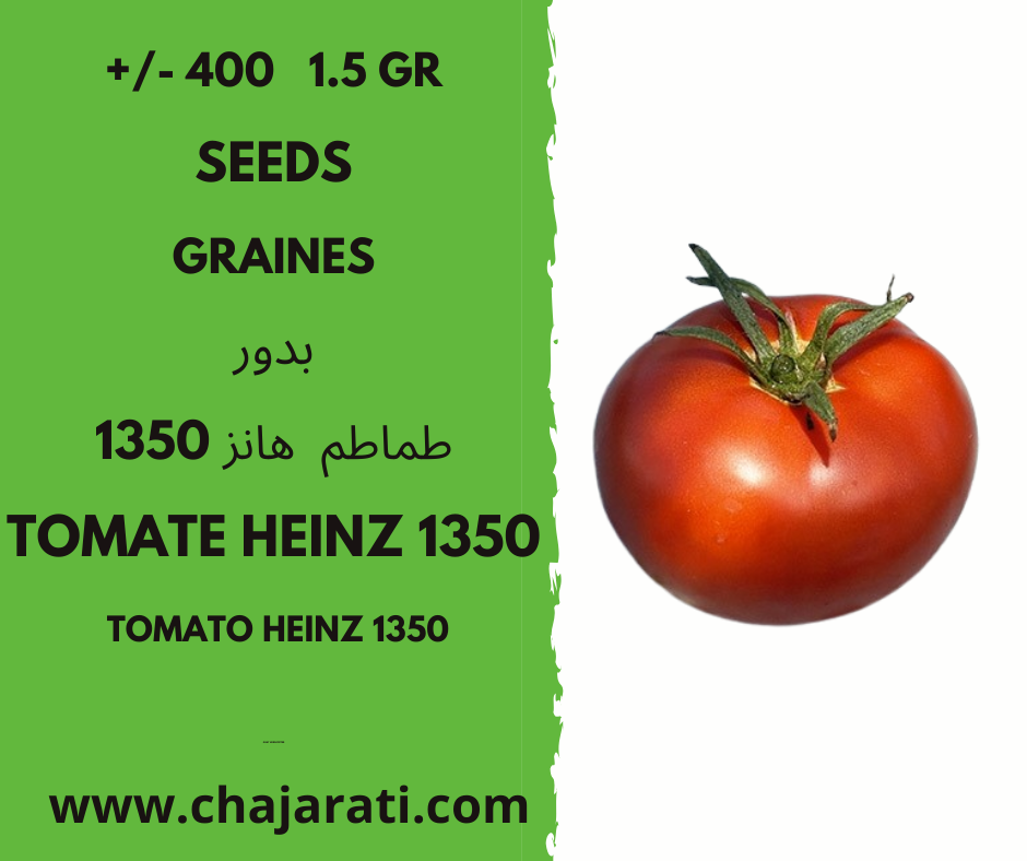 tomate Heinz 1350 chajarati
