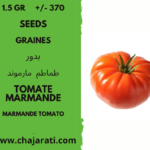+/- 370 graines de tomate marmande Algerie