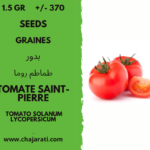 1.5 Gr +/- 370 graines de tomate saint pierre Algerie