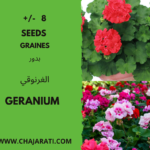 Graines de Géranium