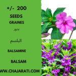 Graines de Balsamine - Balsam seeds
