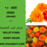 Graines d'Œillet d'Inde