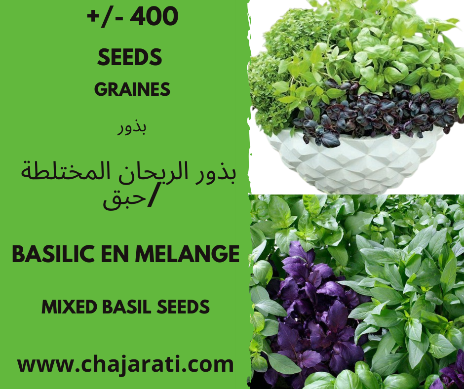 Graines de Basilic en melange